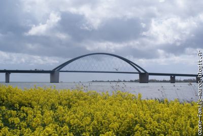 le pont qui relie l'ile à la terre/ ici  le soleil est dans les champs